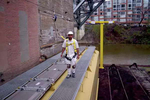 Safety Lifeline System